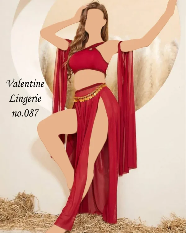 کاستوم رقص عربی Valentine کد 087