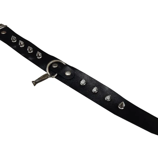 اکسسوری چرمی فانتزی گردنی مشکی Delwin کد 216 با طراحی ساده و خاردار، مناسب لحظات خاص و جذاب")) اکسسوری چرمی فانتزی گردنی مشکی Delwin کد 216 با طراحی ساده و خاردار، مناسب لحظات خاص و جذاب